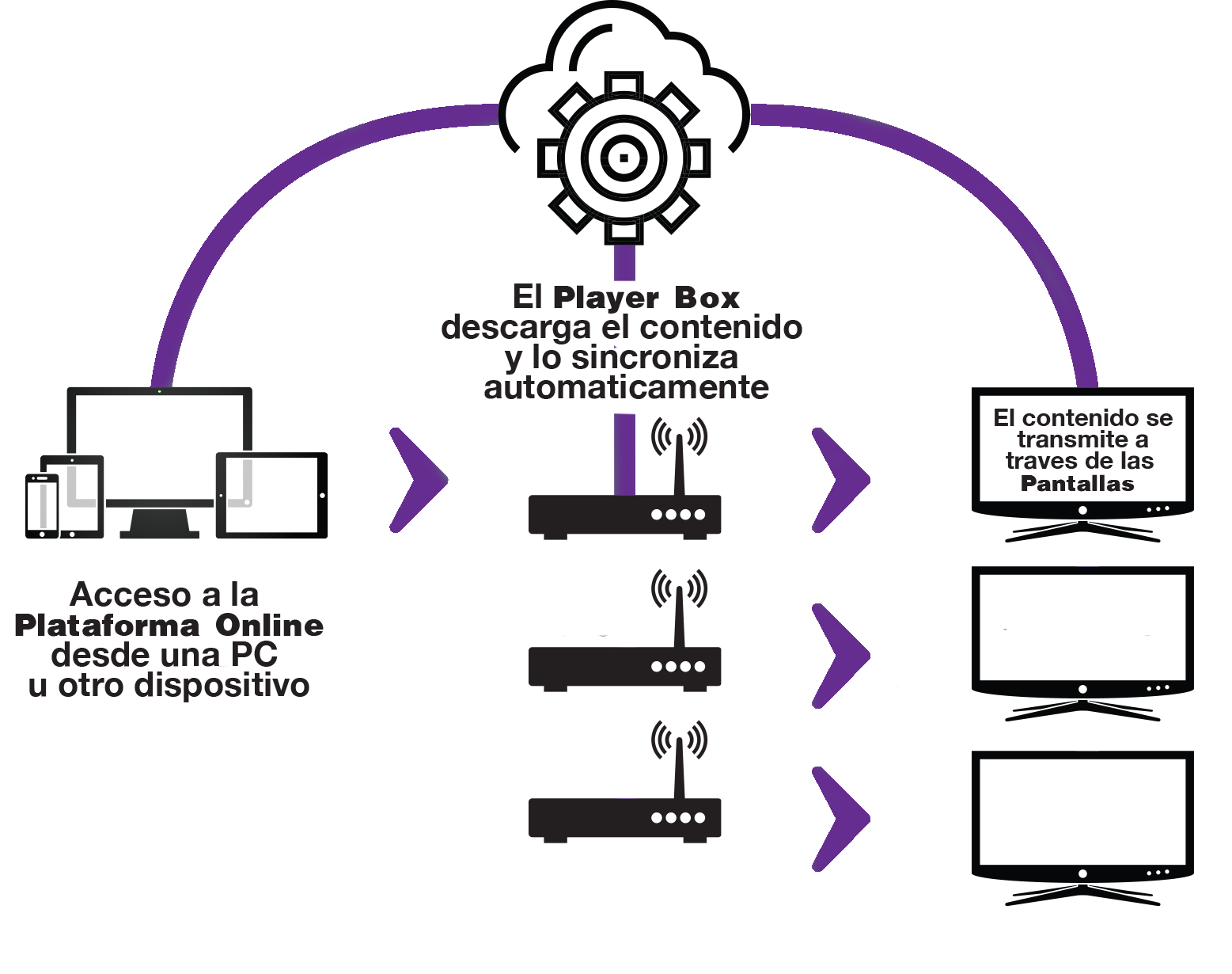 MultiDisplay-Software